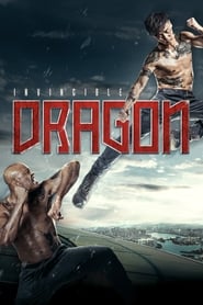 The Invincible Dragon (2019) subtitles - SUBDL poster