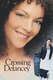 Crossing Delancey English  subtitles - SUBDL poster