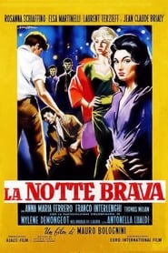 The Big Night French  subtitles - SUBDL poster