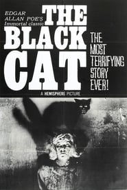 The Black Cat English  subtitles - SUBDL poster