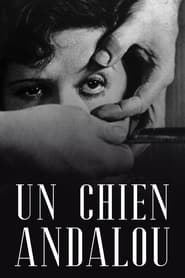 An Andalusian Dog (Un chien andalou) Arabic  subtitles - SUBDL poster
