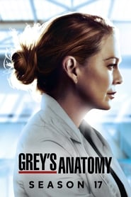 Grey's Anatomy Arabic  subtitles - SUBDL poster