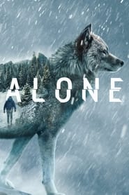 Alone (2015) subtitles - SUBDL poster
