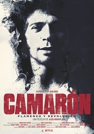 Camarón: The Film