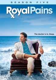 Royal Pains (2009) subtitles - SUBDL poster