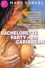 Bachelorette Party in the Caribbean (2012) subtitles