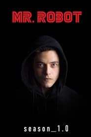 Mr. Robot Russian  subtitles - SUBDL poster