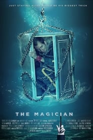 The Magician (2014) subtitles - SUBDL poster
