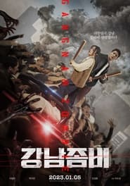 Gangnam Zombie French  subtitles - SUBDL poster