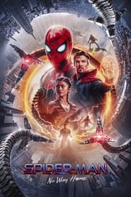 Spider-Man: No Way Home Slovak  subtitles - SUBDL poster