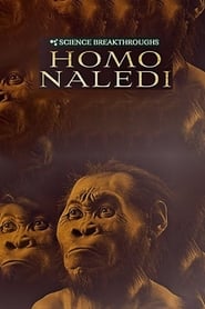 Science Breakthroughs: Homo Naledi (2017) subtitles - SUBDL poster