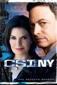 CSI: NY Danish  subtitles - SUBDL poster