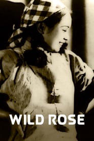 Wild Rose English  subtitles - SUBDL poster