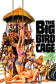 The Big Bird Cage Farsi_persian  subtitles - SUBDL poster