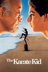 The Karate Kid (1984) subtitles - SUBDL poster