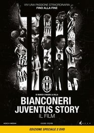 Black and White Stripes: The Juventus Story (2016) subtitles - SUBDL poster
