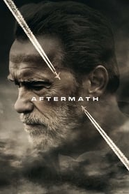 Aftermath (2017) subtitles - SUBDL poster