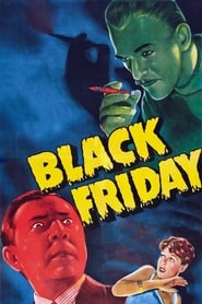 Black Friday English  subtitles - SUBDL poster