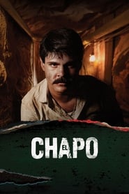 El Chapo (2017) subtitles - SUBDL poster