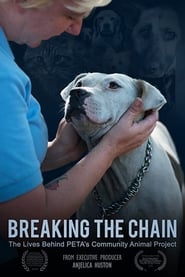 Breaking the Chain (2020) subtitles - SUBDL poster