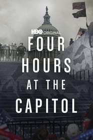 Four Hours at the Capitol (2021) subtitles - SUBDL poster