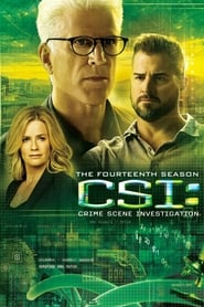 CSI: Crime Scene Investigation French  subtitles - SUBDL poster