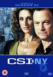CSI: NY Indonesian  subtitles - SUBDL poster