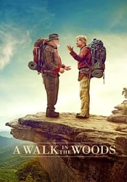 A Walk in the Woods French  subtitles - SUBDL poster