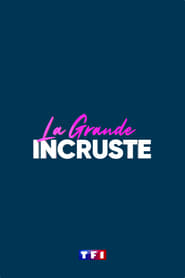La Grande Incruste (2020) subtitles - SUBDL poster