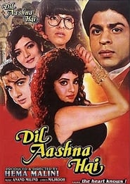 Dil Aashna Hai (1992) subtitles