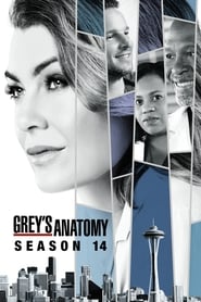 Grey's Anatomy Dutch  subtitles - SUBDL poster