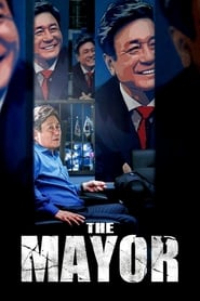 The Mayor (2017) subtitles - SUBDL poster