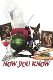 Now You Know (2002) subtitles