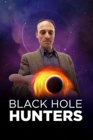 Black Hole Hunters English  subtitles - SUBDL poster