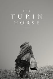 The Turin Horse AKA Nietzsche&#39;s Horse (A Torin&#243;i l&#243;)