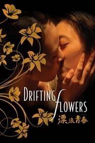 Drifting Flowers (Piao lang qing chun) Italian  subtitles - SUBDL poster