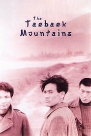 The Taebaek Mountains (1994) subtitles - SUBDL poster