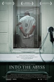 Into the Abyss (2011) subtitles - SUBDL poster