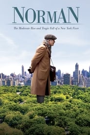 Norman: The Moderate Rise and Tragic Fall of a New York Fixer (2017) subtitles - SUBDL poster