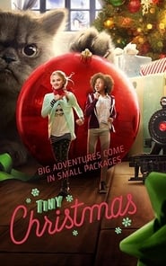 Tiny Christmas (2017) subtitles