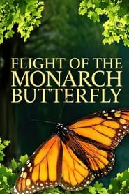 Flight of the Monarch Butterfly (2012) subtitles