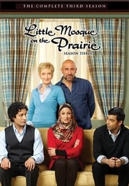 Little Mosque on the Prairie (2007) subtitles - SUBDL poster