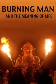 Burning Man and the Meaning of Life (2012) subtitles