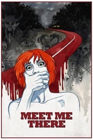 Meet Me There (2014) subtitles - SUBDL poster
