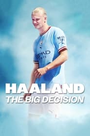 Haaland: The Big Decision (2022) subtitles