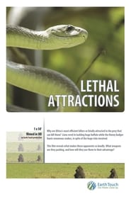 Lethal Attractions (2014) subtitles - SUBDL poster