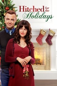 Hitched for the Holidays (2012) subtitles