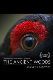 The Ancient Woods (2018) subtitles - SUBDL poster