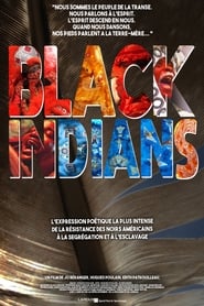 Black Indians (2018) subtitles - SUBDL poster