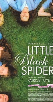 Little Black Spiders (2012) subtitles - SUBDL poster